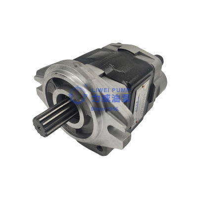 Sinds van de het Merkvorkheftruck van Hewei van 1956 de Delen Hydraulische Pomp 91E71-10200 69101-FK281